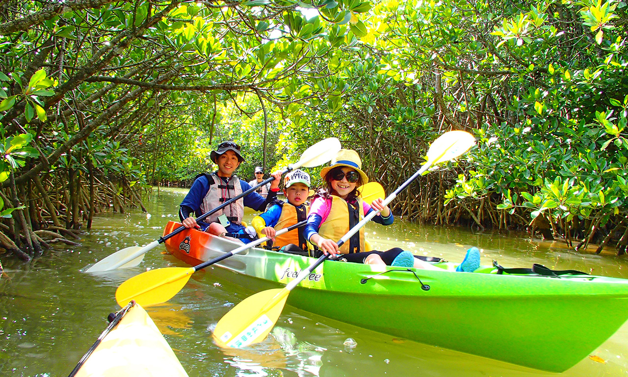 북부 오키나와의 숲 속에 자리한 얀바루 자연 학교(Yanbaru Nature School)에서 모험을 즐기십시오.