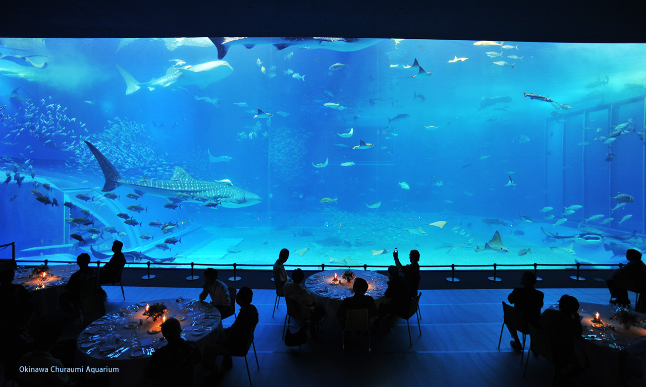 在美麗海水族館(Okinawa Churaumi Aquarium)舉行聚會