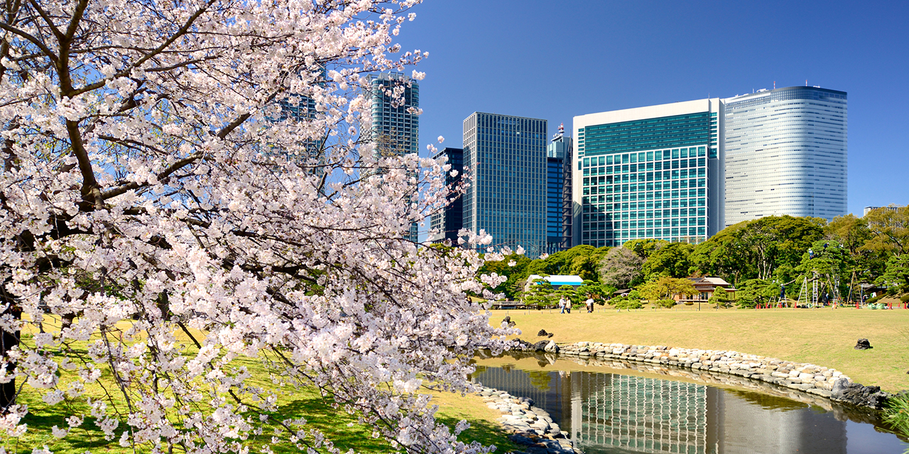 Planning the ideal business event in Japan