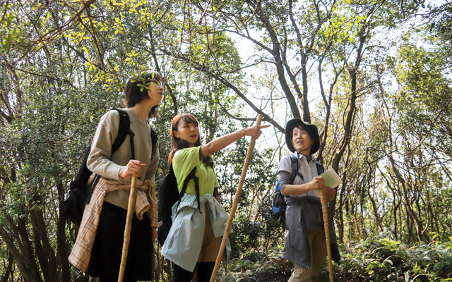 Trace the footsteps of Buddhist apprentice monks around the forests of Shirataki Daimyojin in Mie