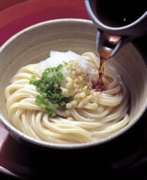 Sanuki Udon Noodles