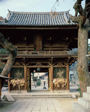 Option A: Shikoku Temple Pilgrimage Experience