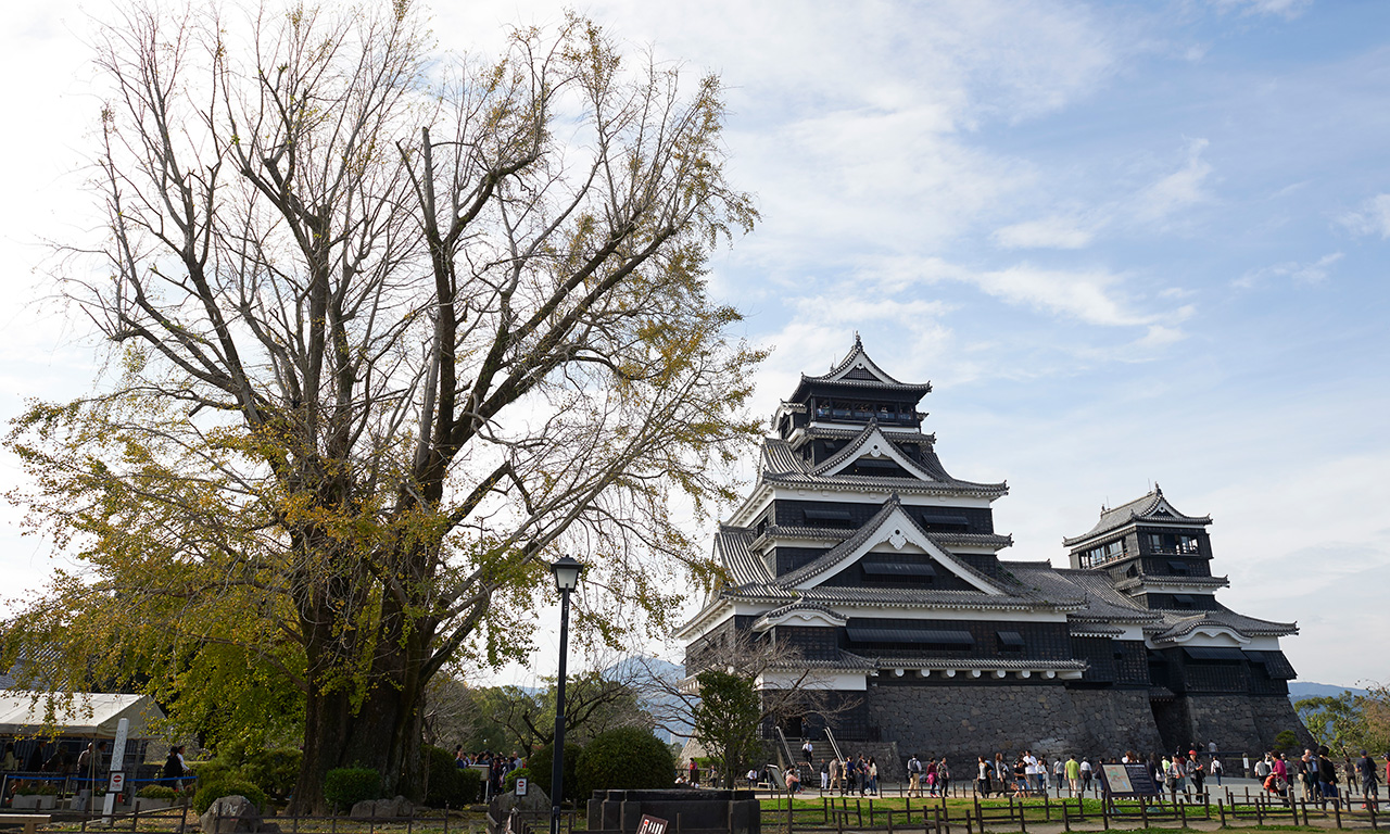 Discover samurai culture at Kumamoto Castle