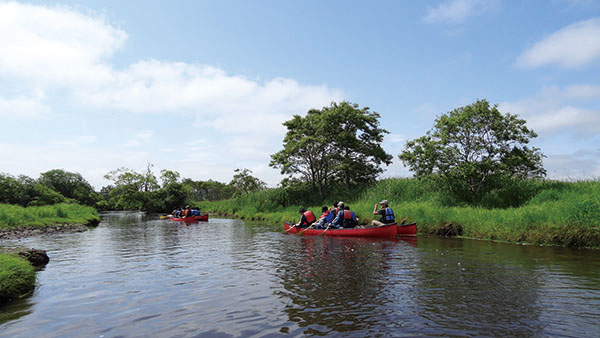 Canoeing on the Kushirogawa River