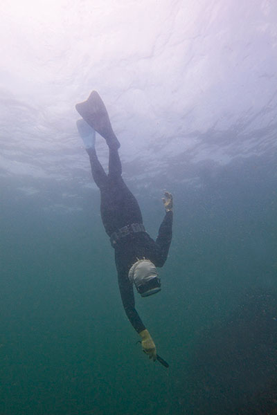 An ama diver in Ise-Shima