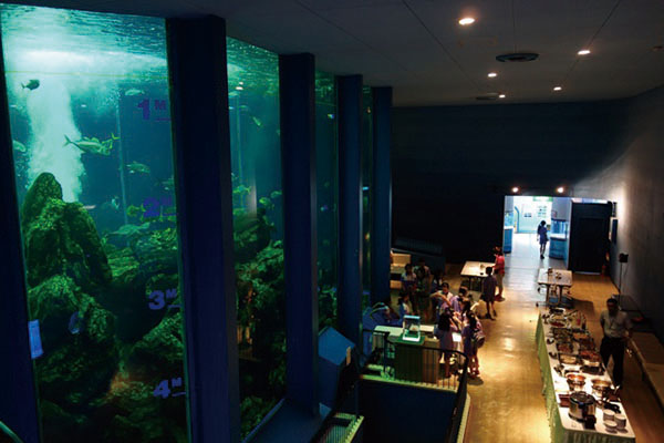 A dinner party in front of a large aquarium